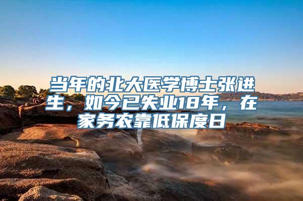 当年的北大医学博士张进生，如今已失业18年，在家务农靠低保度日