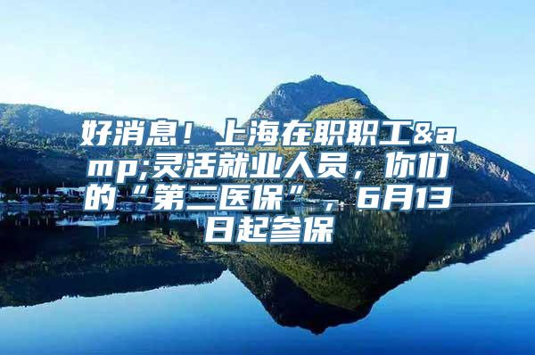 好消息！上海在职职工&灵活就业人员，你们的“第二医保”，6月13日起参保