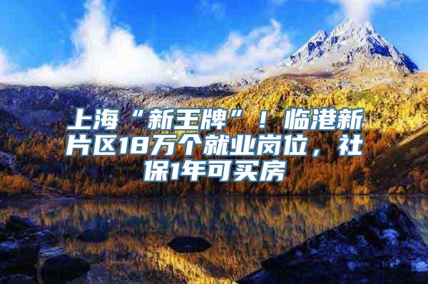 上海“新王牌”！临港新片区18万个就业岗位，社保1年可买房