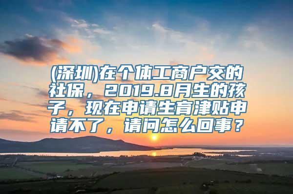 (深圳)在个体工商户交的社保，2019.8月生的孩子，现在申请生育津贴申请不了，请问怎么回事？