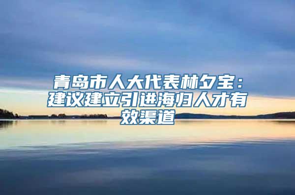 青岛市人大代表林夕宝：建议建立引进海归人才有效渠道