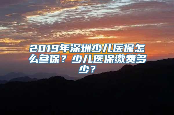 2019年深圳少儿医保怎么参保？少儿医保缴费多少？