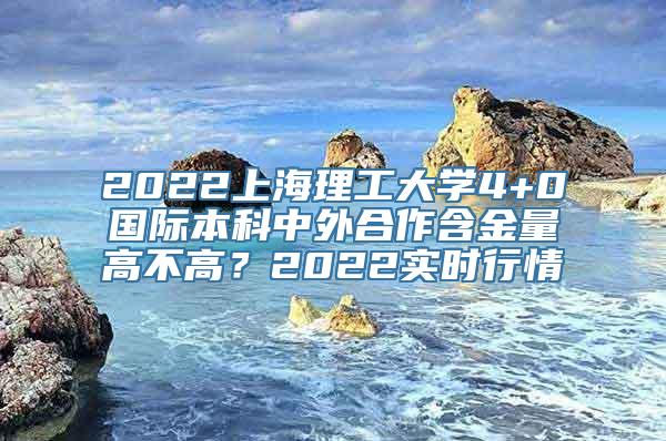 2022上海理工大学4+0国际本科中外合作含金量高不高？2022实时行情