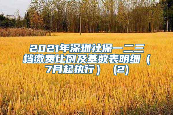 2021年深圳社保一二三档缴费比例及基数表明细（7月起执行） (2)