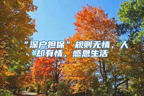 “深户担保”规则无情，人却有情，感恩生活