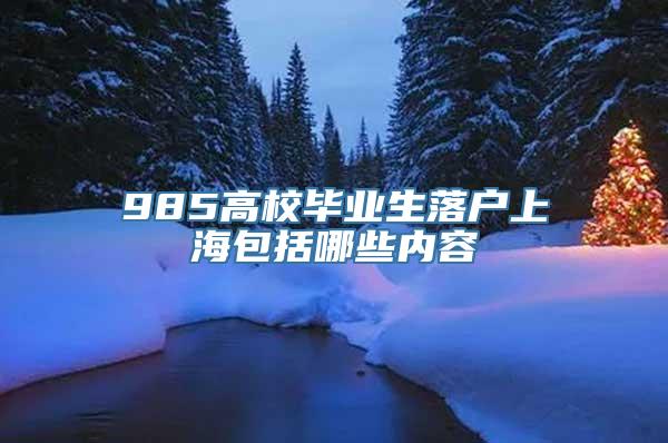 985高校毕业生落户上海包括哪些内容