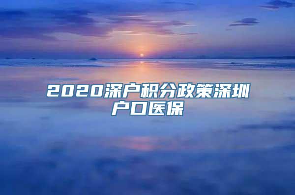 2020深户积分政策深圳户口医保