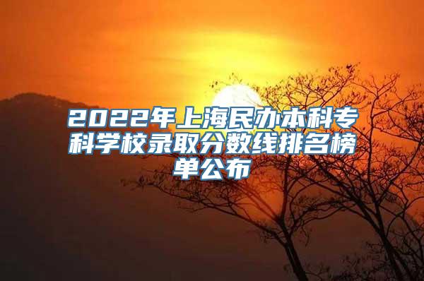 2022年上海民办本科专科学校录取分数线排名榜单公布