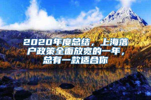 2020年度总结，上海落户政策全面放宽的一年，总有一款适合你