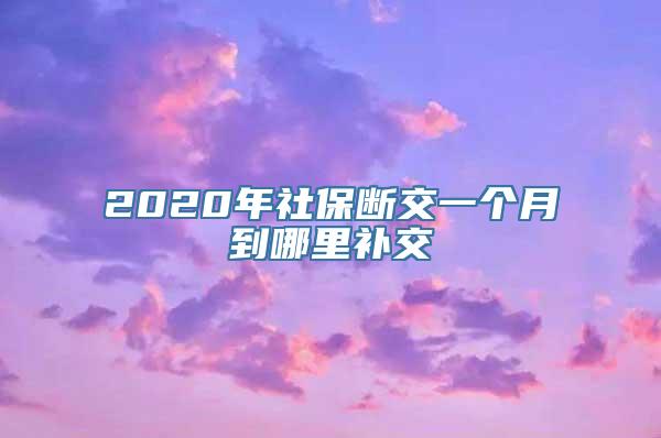 2020年社保断交一个月到哪里补交