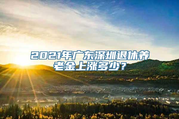 2021年广东深圳退休养老金上涨多少？