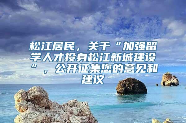 松江居民，关于“加强留学人才投身松江新城建设”，公开征集您的意见和建议→