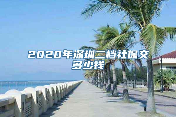 2020年深圳二档社保交多少钱