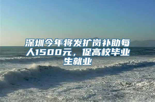 深圳今年将发扩岗补助每人1500元，促高校毕业生就业