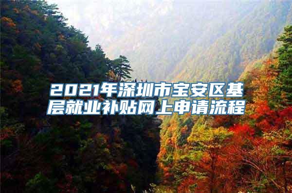 2021年深圳市宝安区基层就业补贴网上申请流程