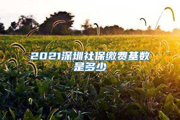 2021深圳社保缴费基数是多少