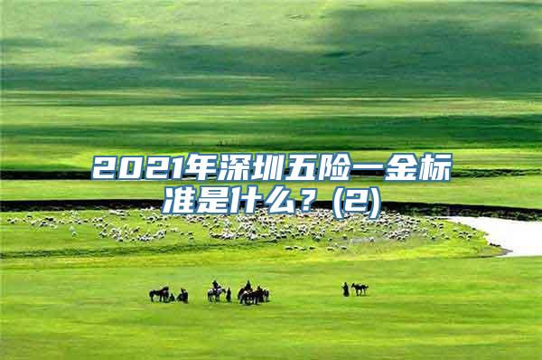 2021年深圳五险一金标准是什么？(2)