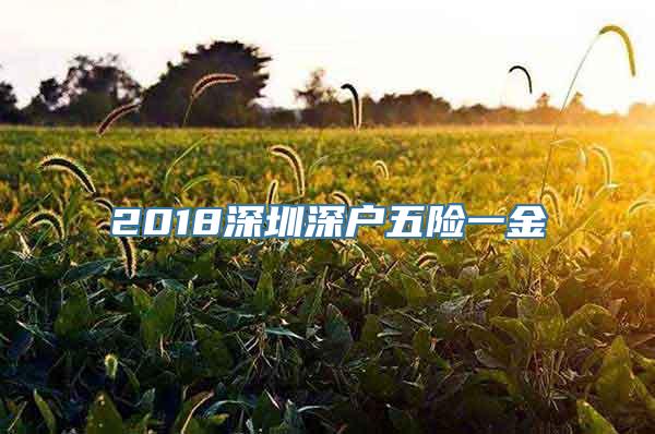 2018深圳深户五险一金