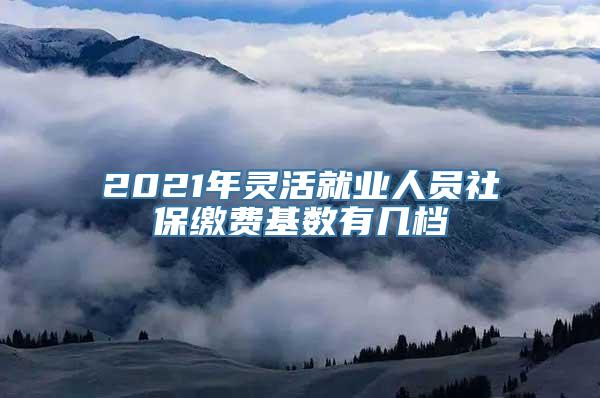 2021年灵活就业人员社保缴费基数有几档