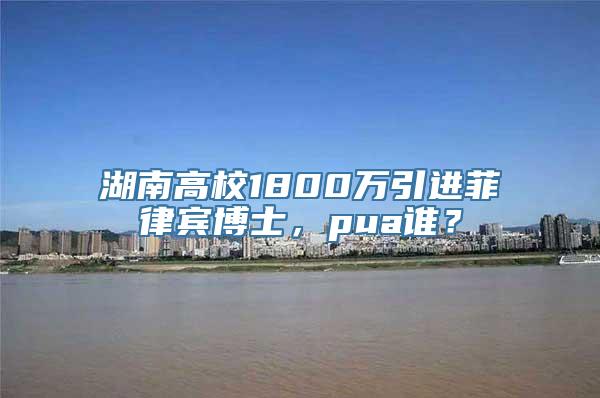 湖南高校1800万引进菲律宾博士，pua谁？