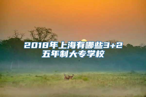 2018年上海有哪些3+2五年制大专学校