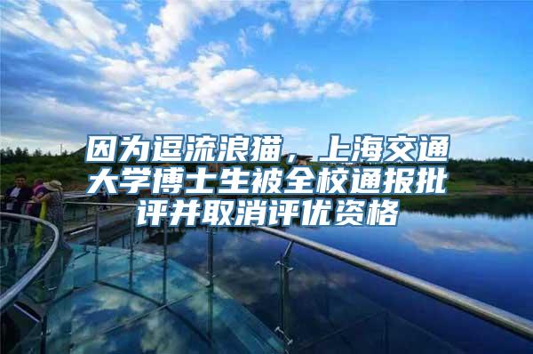 因为逗流浪猫，上海交通大学博士生被全校通报批评并取消评优资格