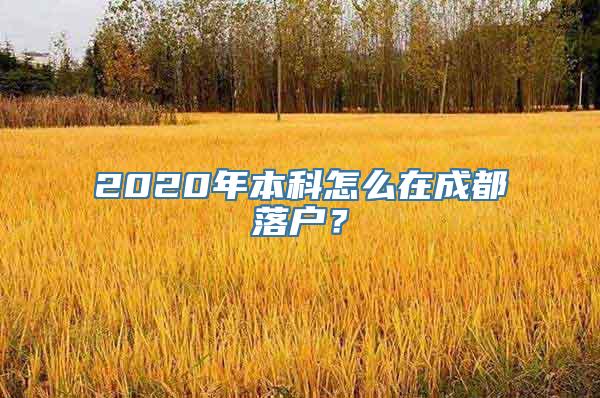 2020年本科怎么在成都落户？