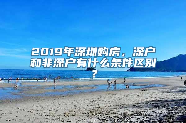 2019年深圳购房，深户和非深户有什么条件区别？