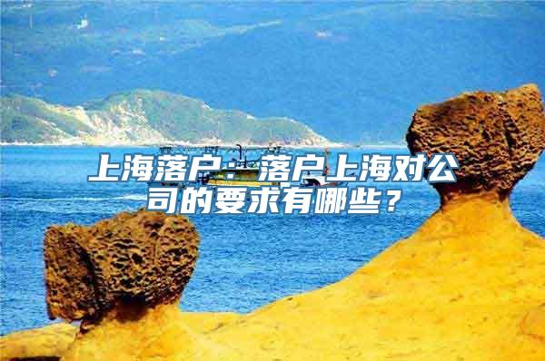 上海落户：落户上海对公司的要求有哪些？