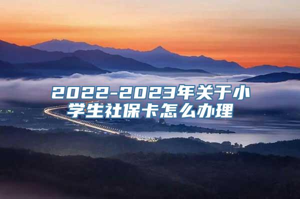 2022-2023年关于小学生社保卡怎么办理