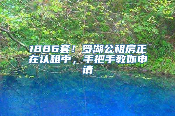 1886套！罗湖公租房正在认租中，手把手教你申请