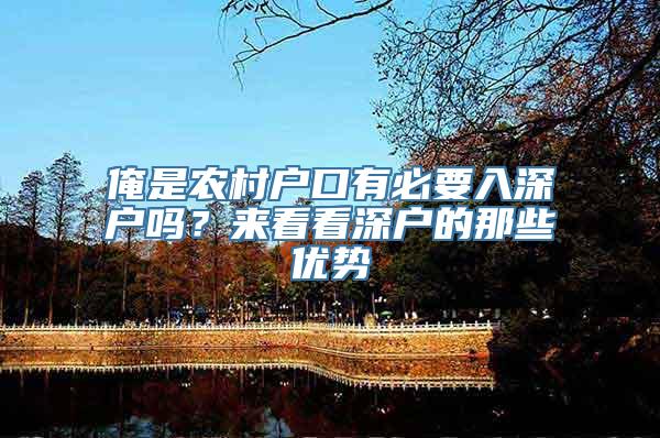 俺是农村户口有必要入深户吗？来看看深户的那些优势