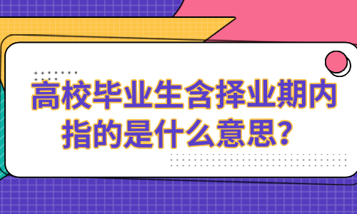 高校毕业生含择业期内指的是什么意思？