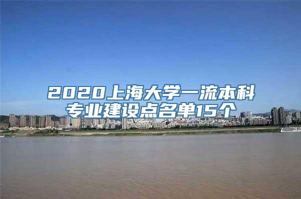 2020上海大学一流本科专业建设点名单15个