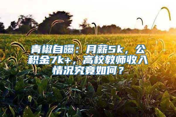 青椒自曝：月薪5k，公积金7k+，高校教师收入情况究竟如何？