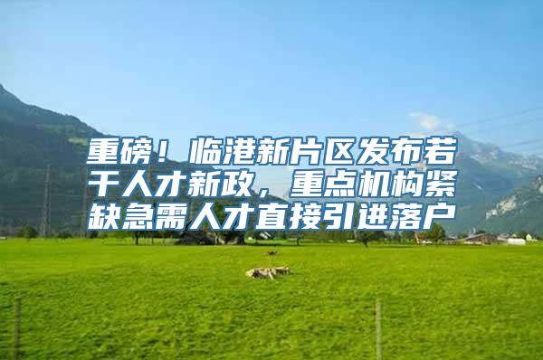 重磅！临港新片区发布若干人才新政，重点机构紧缺急需人才直接引进落户