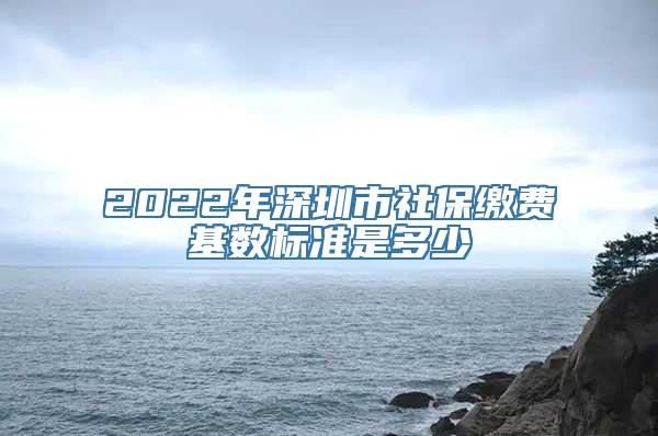 2022年深圳市社保缴费基数标准是多少