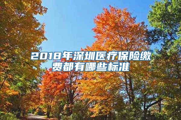 2018年深圳医疗保险缴费都有哪些标准