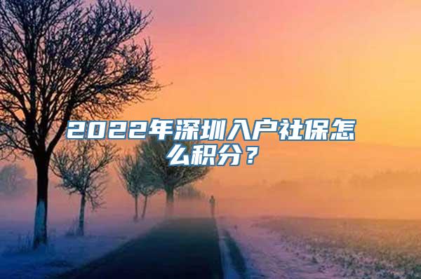 2022年深圳入户社保怎么积分？