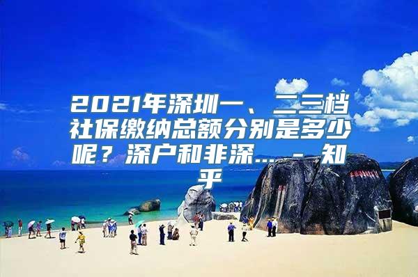 2021年深圳一、二三档社保缴纳总额分别是多少呢？深户和非深... - 知乎