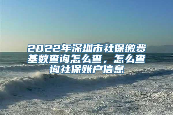 2022年深圳市社保缴费基数查询怎么查，怎么查询社保账户信息