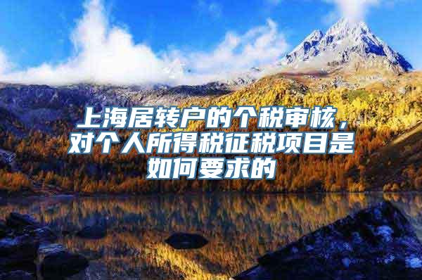 上海居转户的个税审核，对个人所得税征税项目是如何要求的