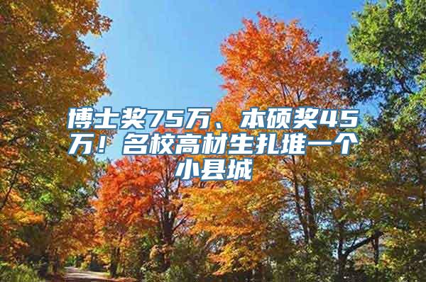 博士奖75万、本硕奖45万！名校高材生扎堆一个小县城