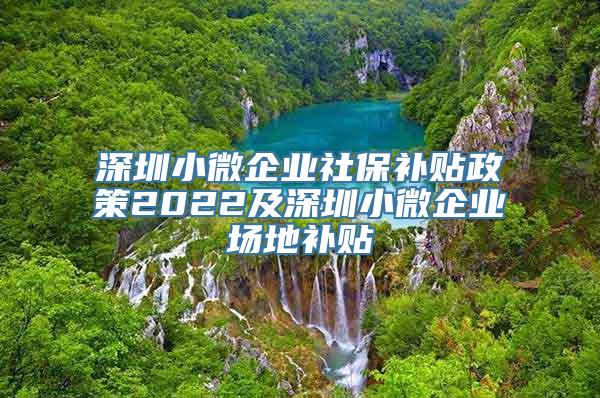 深圳小微企业社保补贴政策2022及深圳小微企业场地补贴