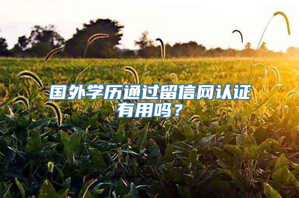 国外学历通过留信网认证有用吗？