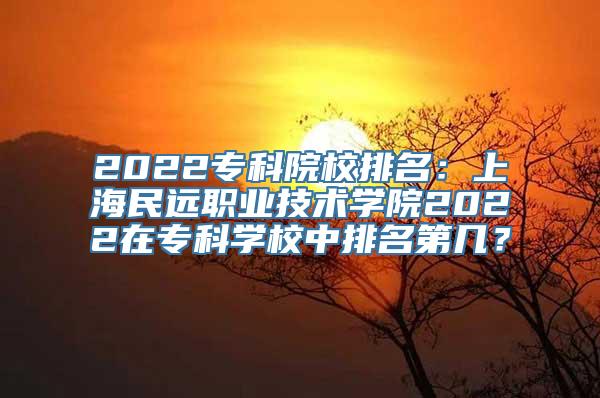 2022专科院校排名：上海民远职业技术学院2022在专科学校中排名第几？