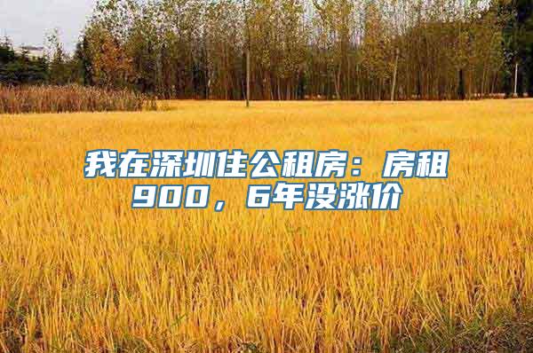 我在深圳住公租房：房租900，6年没涨价