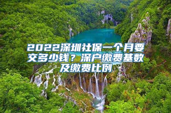 2022深圳社保一个月要交多少钱？深户缴费基数及缴费比例