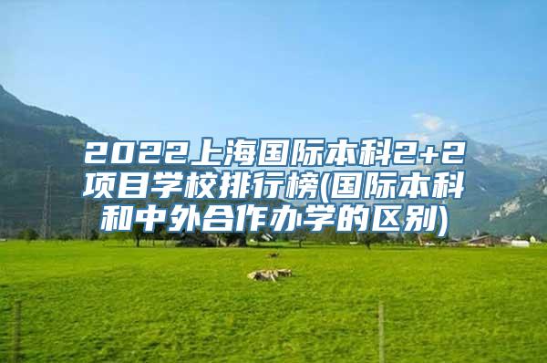 2022上海国际本科2+2项目学校排行榜(国际本科和中外合作办学的区别)