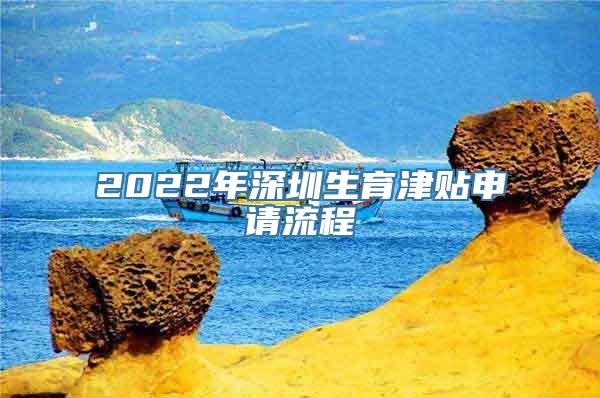 2022年深圳生育津贴申请流程